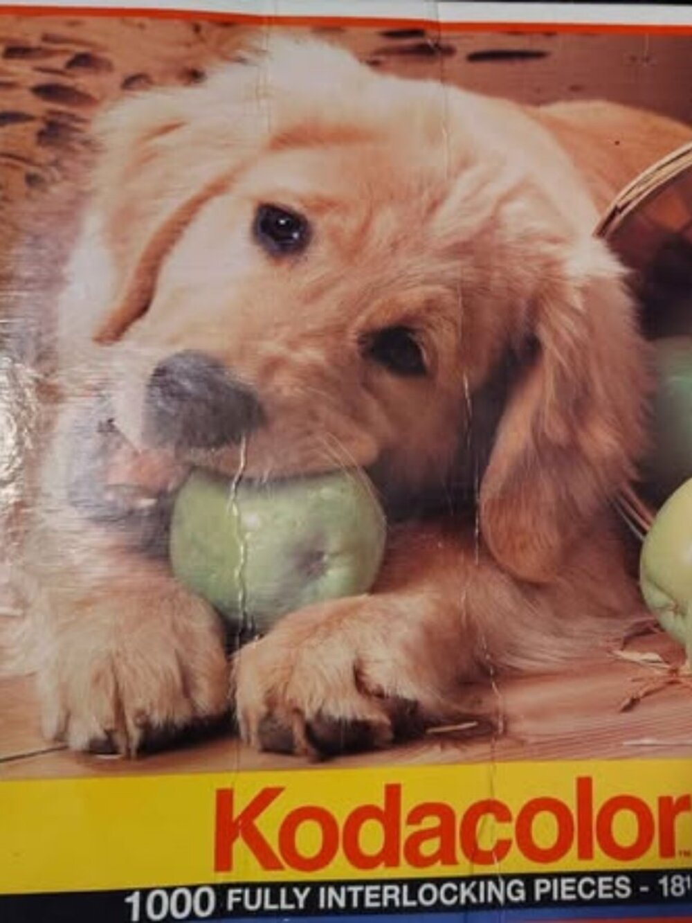 Kodak Puppy 1000pc Puzzle